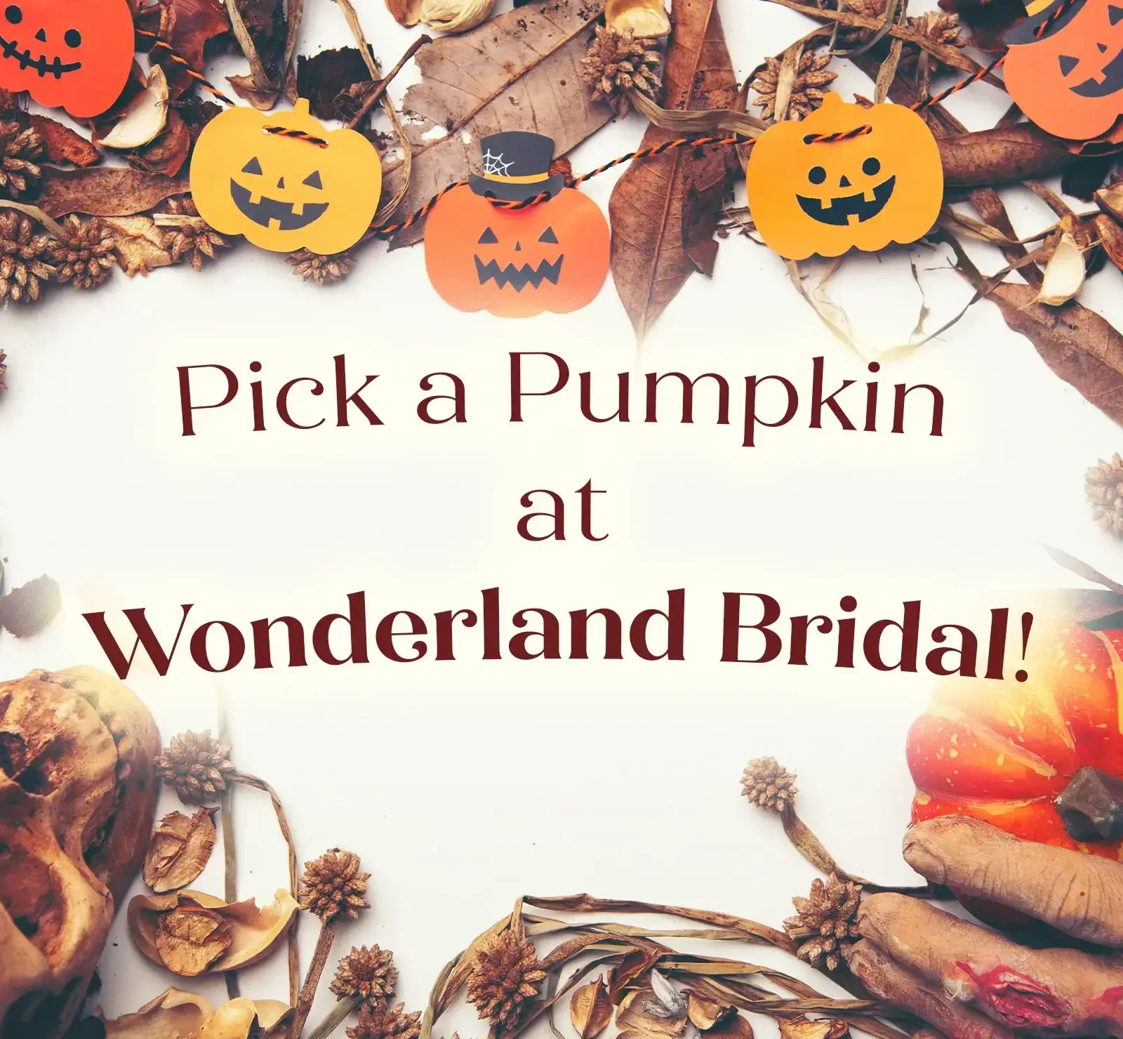 Pick a Pumpkin at Wonderland Bridal!