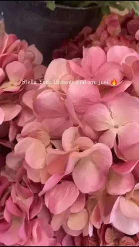 Instagram #17