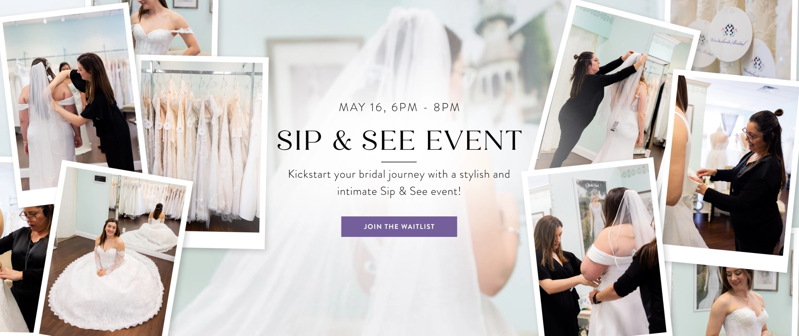 Sip and See Banner for Desktop
