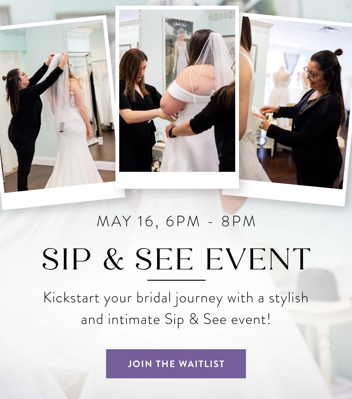 Sip and See Banner for Mobile